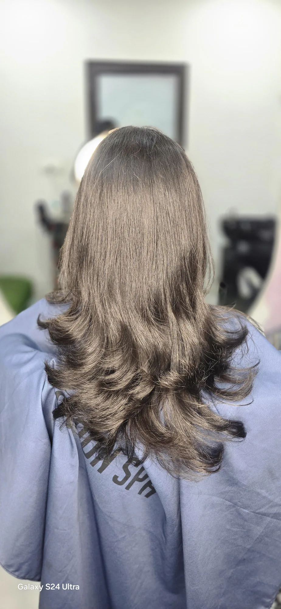 Long straight haircut with a sleek finish, back view